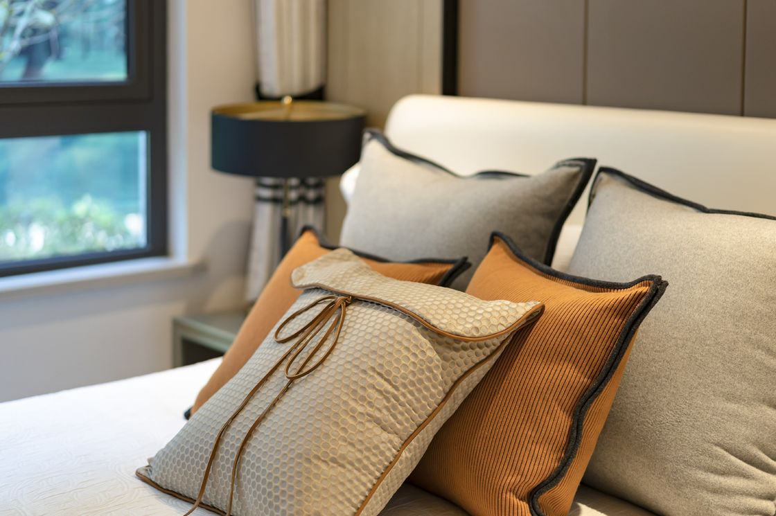 Het kleurrijke Huisdecor beschermt Moderne de Decoratiekussens van het Streephuis